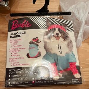 Barbie Teal and Hot Pink Pet Aerobics Outfit